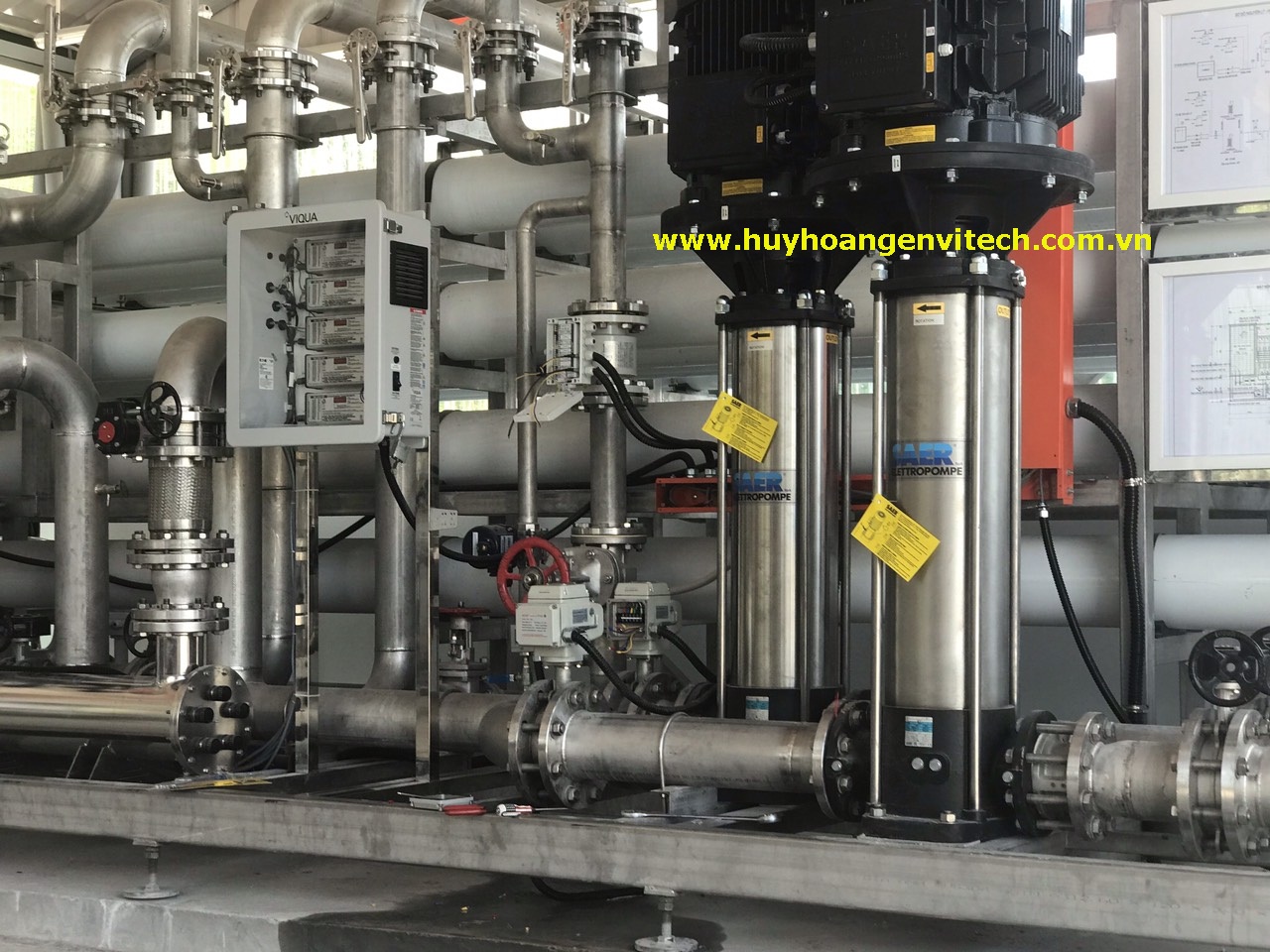 Trang trại chăn nuôi heo giống Bình Định